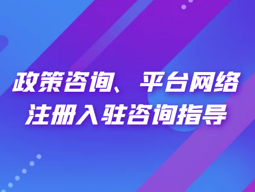 政策咨詢、平臺(tái)網(wǎng)絡(luò)注冊(cè)入駐咨詢指導(dǎo)